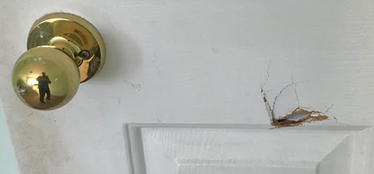 interior door hole repair National City